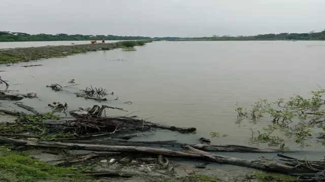 রাঙ্গবালীধীন চালিতাবুনিয়া ইউনিয়নে অবৈধ ঘের করা এবং ইজারাকৃত বৈধ খাল দখলের পায়তারার অভিযোগ