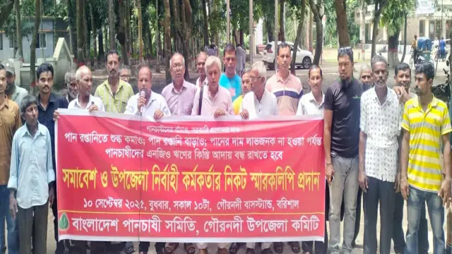 রপ্তানি মূল্য বৃদ্ধির কারণে  বিদেশে যাচ্ছেনা পান