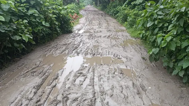 সাতলা সেতু থেকে শিবপুর পর্যন্ত সড়কের বেহাল দশা, দ্রুত সংস্কারের দাবি