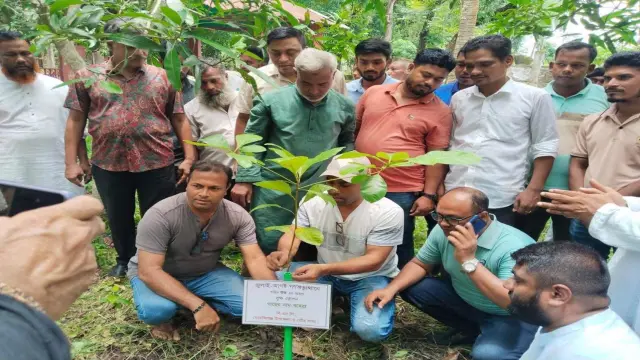 শহীদদের স্বরণে মেহেন্দিগঞ্জ বিএনপির বৃক্ষ রোপণ কর্মসূচি।