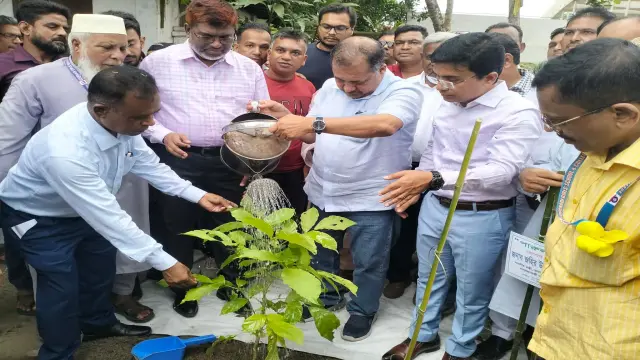 শিশুর মতই গাছের চারাকে  লালন-পালন করতে হবে  -তথ্য ও সম্প্রচার মন্ত্রী