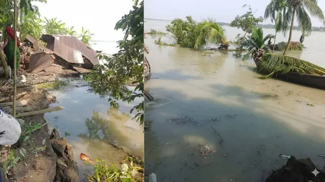 সন্ধ্যাগর্ভে জমিসহ গাছপালা ও বসতঘর বিলীন