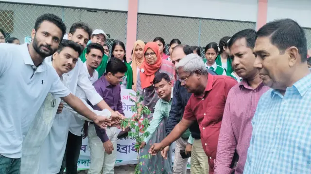 সরকারী গৌরনদী কলেজে  বৃক্ষরোপণ রোপণ