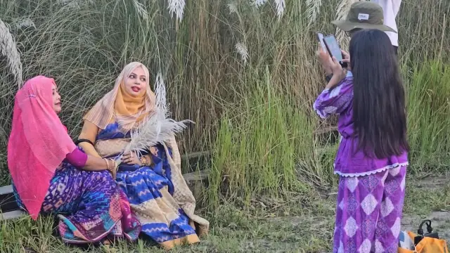 শরতের শুভ্রতায় মুগ্ধ বরগুনা, বিসিকের কাশফুলে দর্শনার্থীদের ভিড়