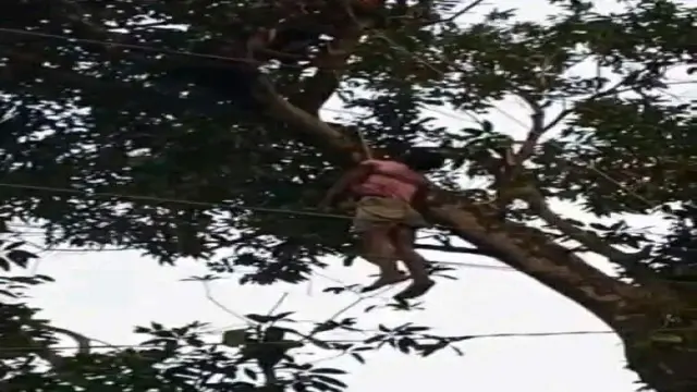 শ্বশুরবাড়িতে আম পাড়তে গিয়ে বিদ্যুৎস্পৃষ্টে জামাইয়ের মৃত্যু