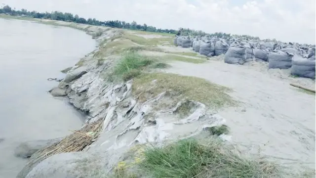 তিস্তা নদীর ভাঙনে কালিগঞ্জ খেয়াঘাট রক্ষা বাঁধ হুমকির মুখে