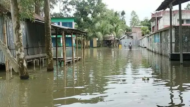 তিস্তার পানি বৃদ্ধি শত শত পরিবার পানি বন্দী