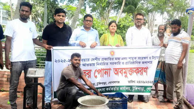 টুঙ্গিপাড়ায় সরকারি জলাশয়ে মাছের পোনা অবমুক্ত
