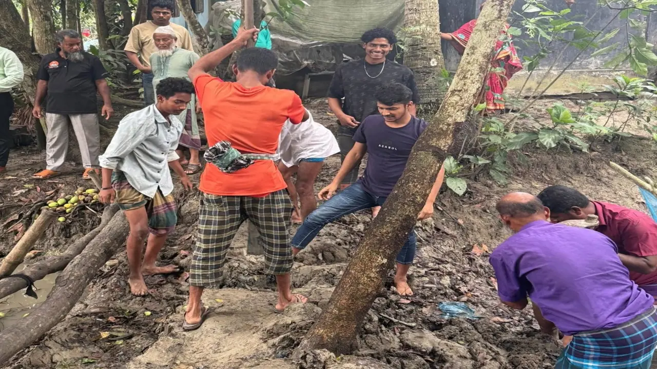 বাঁধ অপসারণ করে ফসল    রক্ষা, প্রশংসায় ভাসছেন    ইউএনও