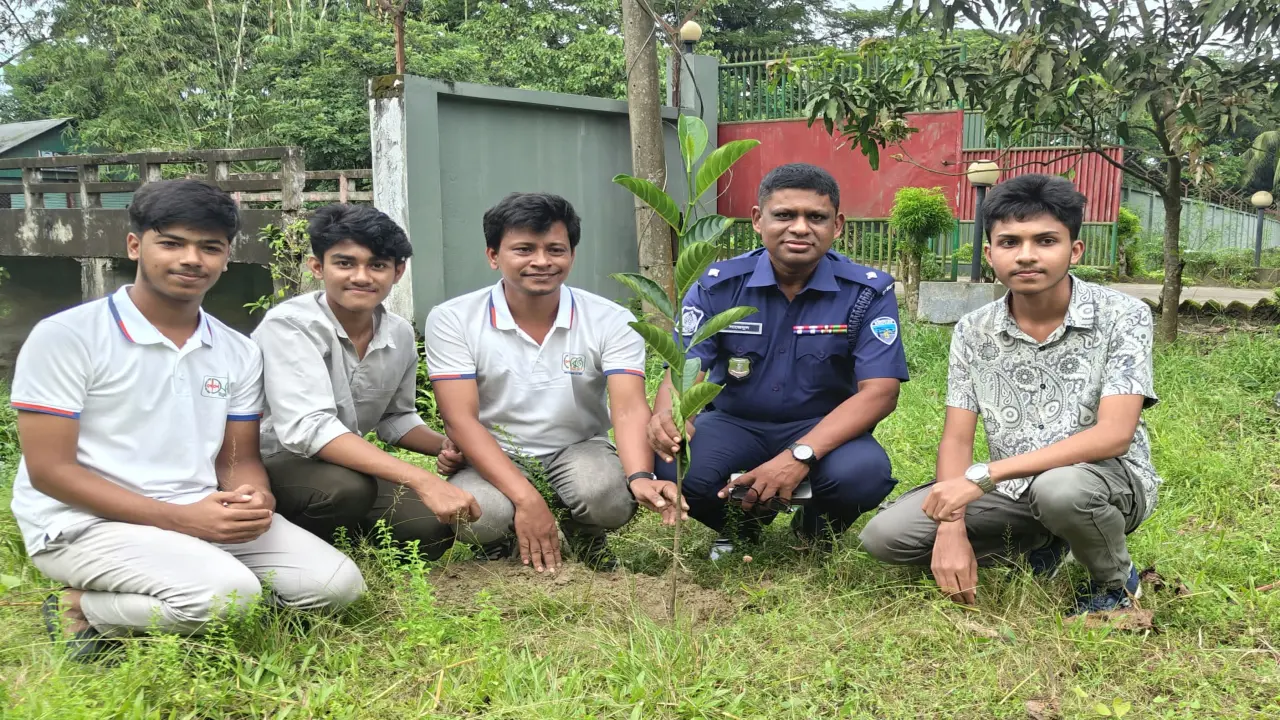 ব্রাহ্মণপাড়ায় লাল সবুজের বৃক্ষরোপণ কর্মসূচি