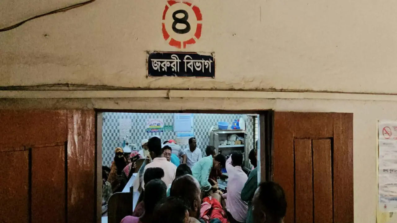 বরগুনার পাথরঘাটায় বেওয়ারিশ কুকুরের কামড়ে ১২ জন আহত, দুইজন গুরুতর"