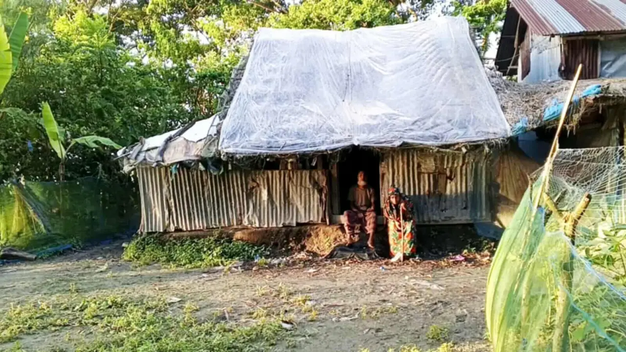 বরগুনায় অসুস্থ দম্পতির জীবন ঝুঁকিতে; খেয়ে-না-খেয়ে দিন পার, জনপ্রতিনিধি ও প্রশাসন নিস্তব্ধ।