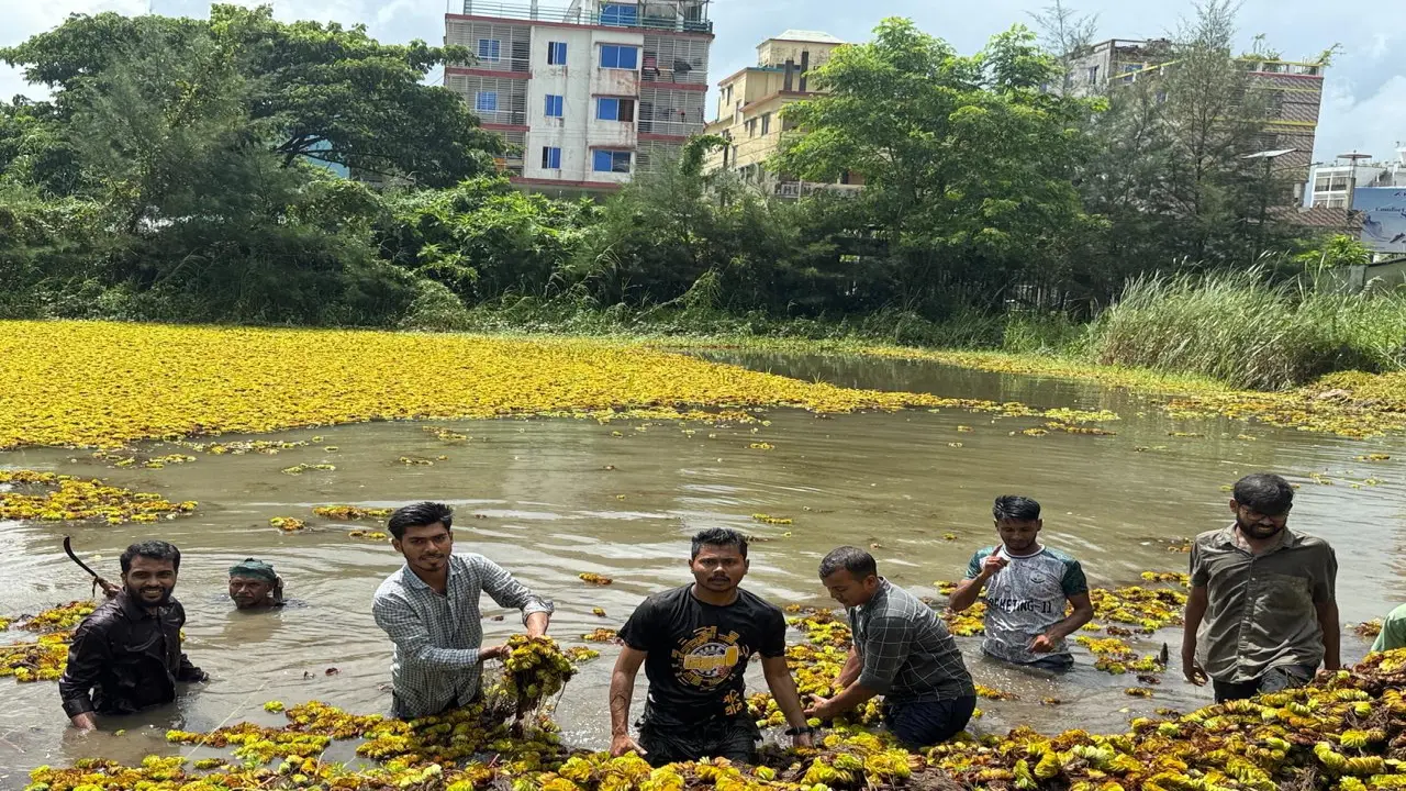 বরিশাল বিশ্ববিদ্যালয়ে ছাত্রদলের পরিষ্কার-পরিচ্ছন্নতা অভিযান