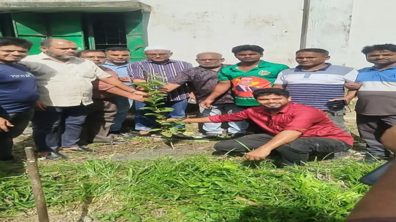 বরিশালের উজিরপুর উপজেলায় বিভিন্ন শিক্ষা প্রতিষ্ঠানে বৃক্ষরোপন করেন কাজী রওনাকুল ইসলাম টিপু