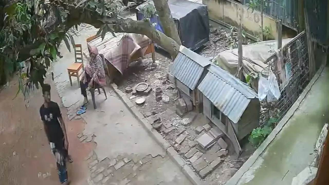 ডাব পাড়ার কথা বলে গৃহবধূর স্বর্ণালংকার ও মোবাইল ছিনতাই