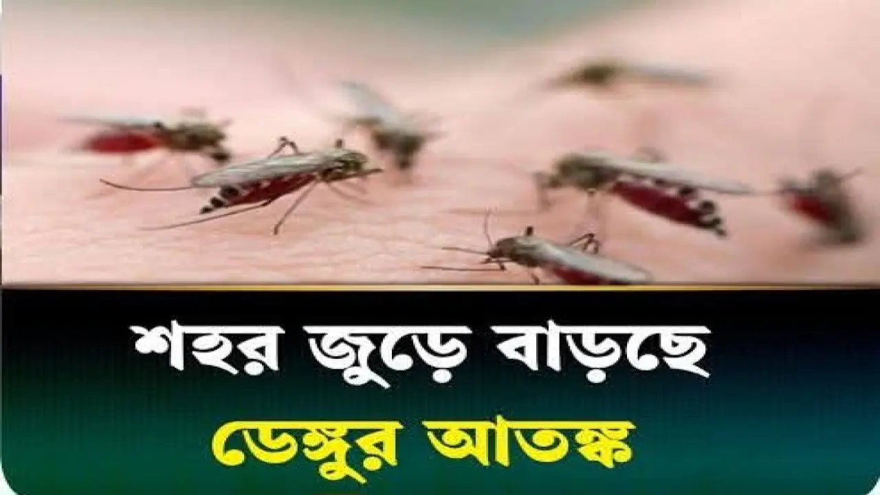 ডেঙ্গু প্রতিরোধে নেই কোনো উদ্যোগ, পৌর কর্তৃপক্ষ নির্বিকার