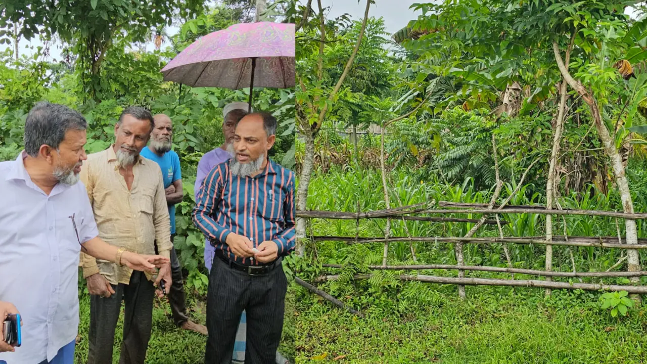 দুমকিতে সরকারি রাস্তায় বাঁশের বেড়া দিয়ে চাষাবাদ ,৭ দিনের মধ্যে অপসারণের নির্দেশ।