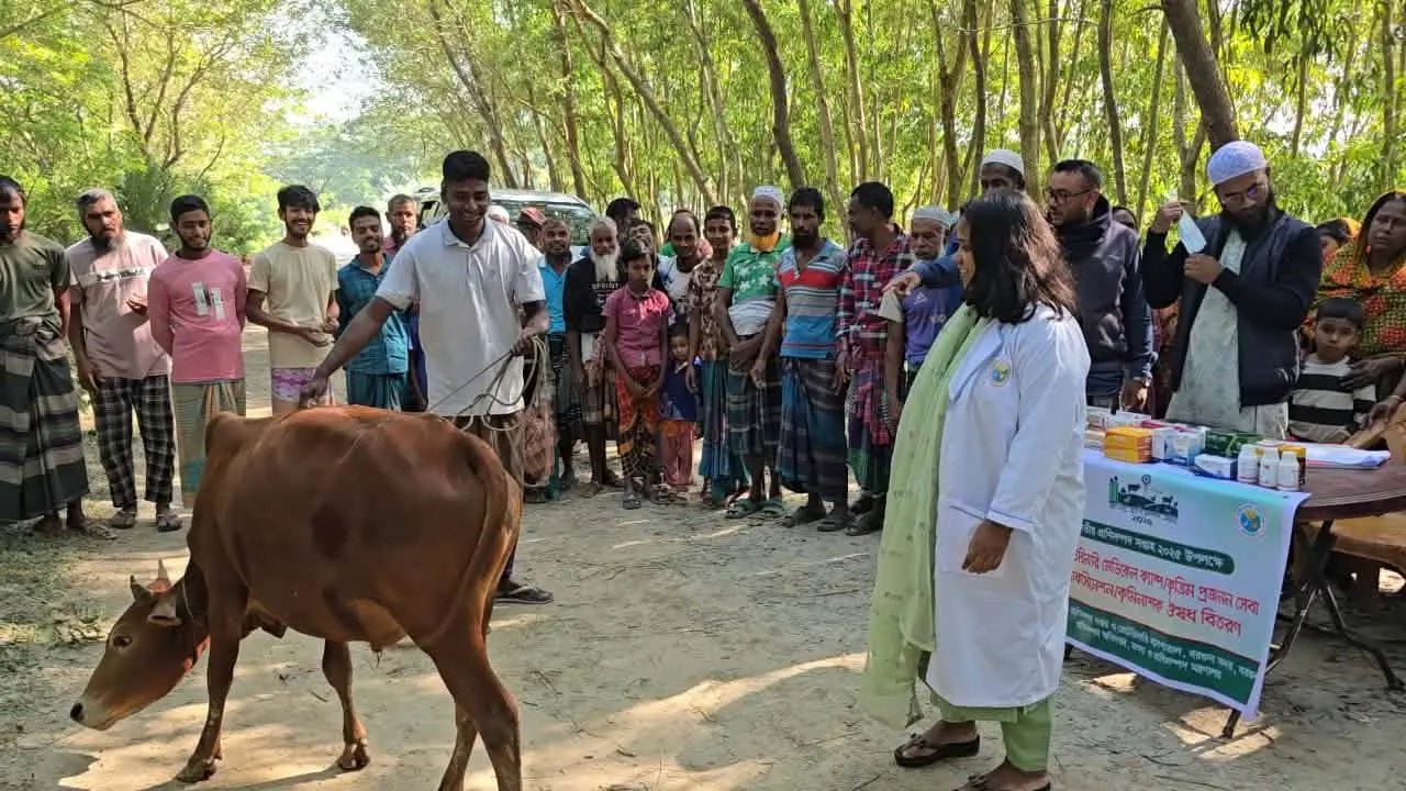 গবাদিপশুর সুরক্ষায় বরগুনায় বিনামূল্যে ভ্যাকসিন–চিকিৎসা, উপকার পেল দুই শতাধিক পশু
