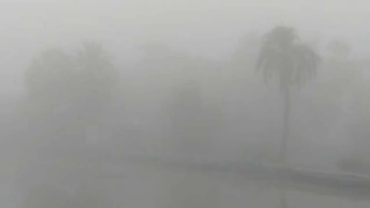 ঘন কুয়াশায় সূর্যহীন গলাচিপা , জনজীবন বিপর্যস্ত