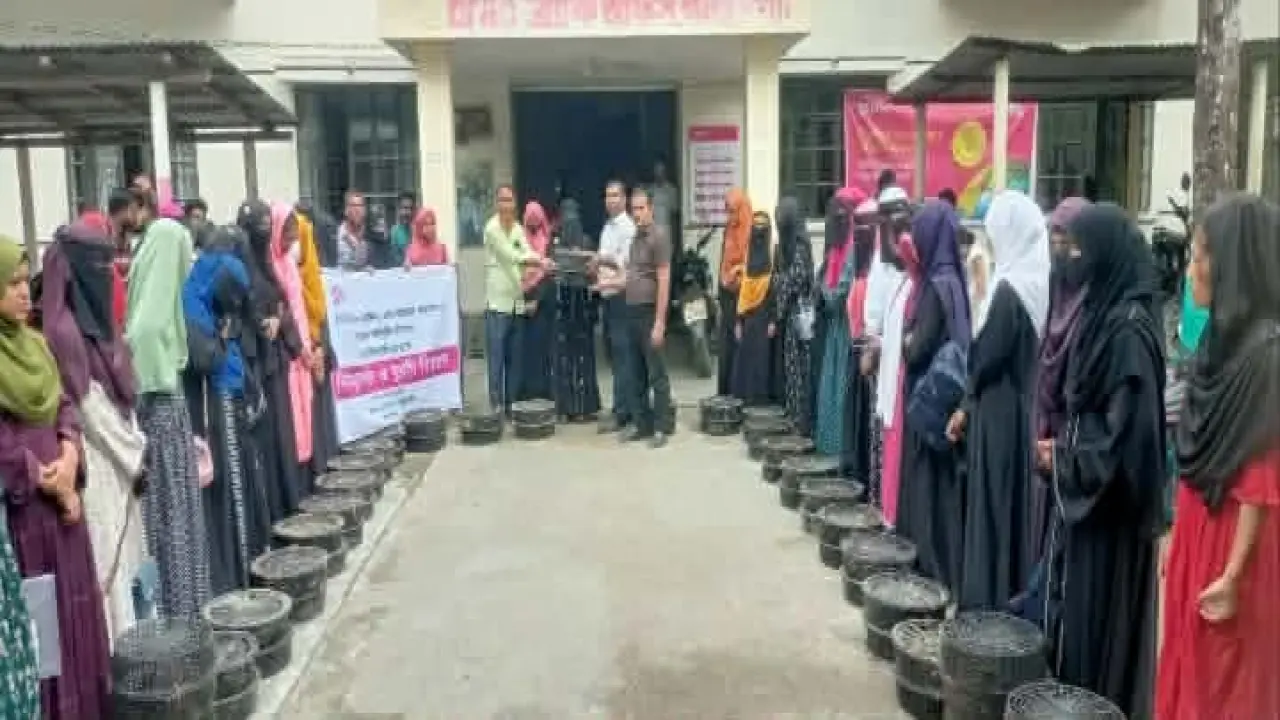 গলাচিপায় ব্র্যাক সংস্থা'র উদ্যোগে কিশোরীর মাঝে বিনামূল্যে হাঁস ও মুরগী বাচ্চা বিতরণ।