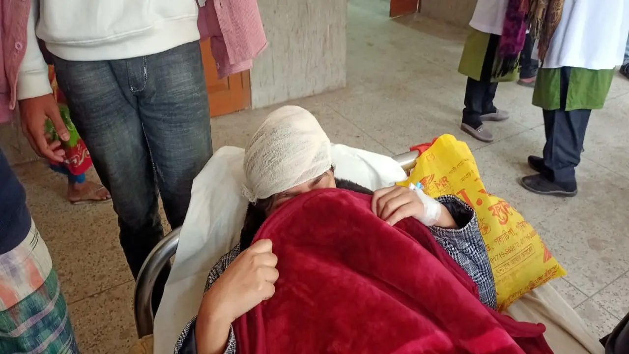 গলাচিপায় জমিজমা বিরোধ আহত ৫