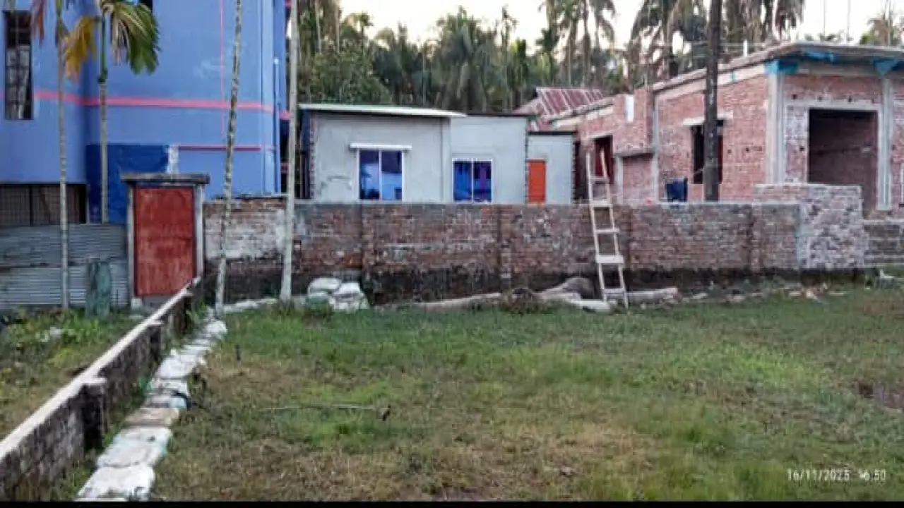 গলাচিপায় মই বেয়ে বাড়িতে আসা-যাওয়ার ঘটনায় তোলপাড় নারী- শিশুরা অবরুদ্ধ