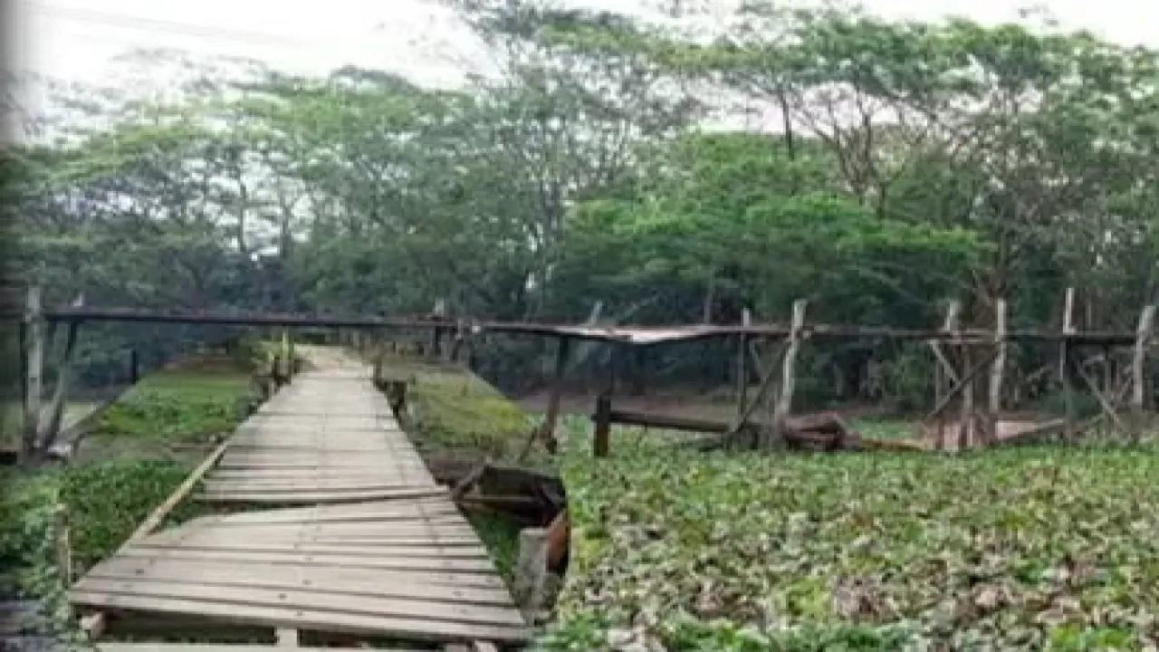 গলাচিপায় মরণফাঁদে পরিণত হয়েছে চর বিশ্বাস-কপালবেড়া সেতু: জনদুর্ভোগ চরমে