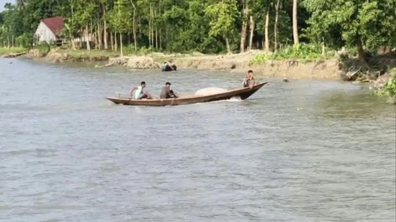 গলাচিপায় নিষেধাজ্ঞা অমান্য করে দেদার ইলিশ শিকার