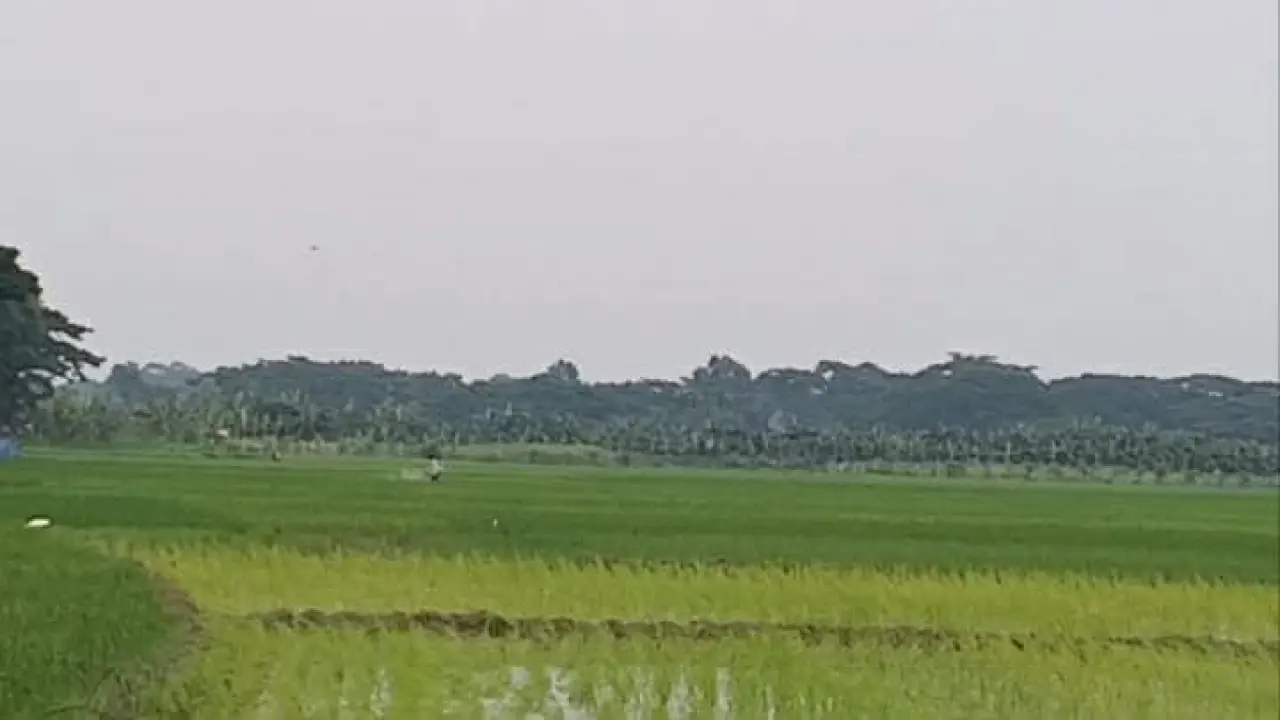 গলাচিপায় জমি নিয়ে বিরোধ, সংখ্যালঘু পরিবার দিশেহারা