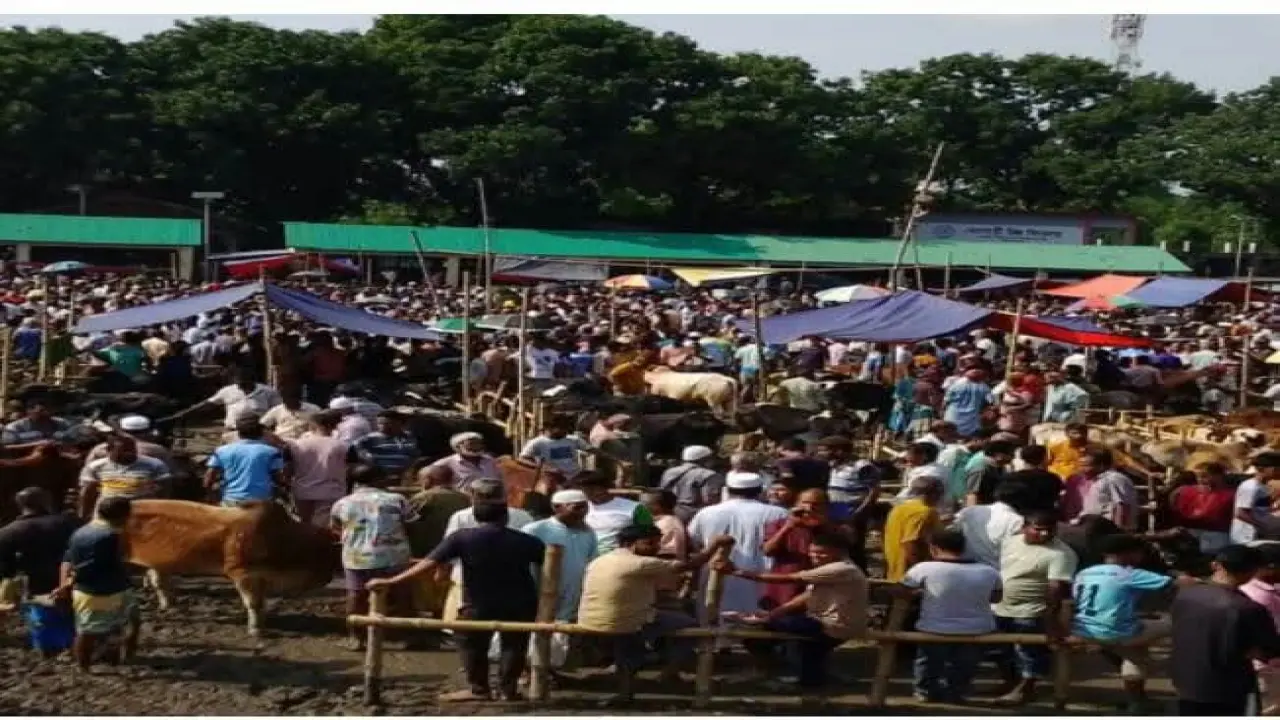 গঙ্গাচড়া বেতগাড়ী গরুর হাটে সরকারি নীতিমালা ভেঙে প্রকাশ্যে অতিরিক্ত অর্থ আদায়