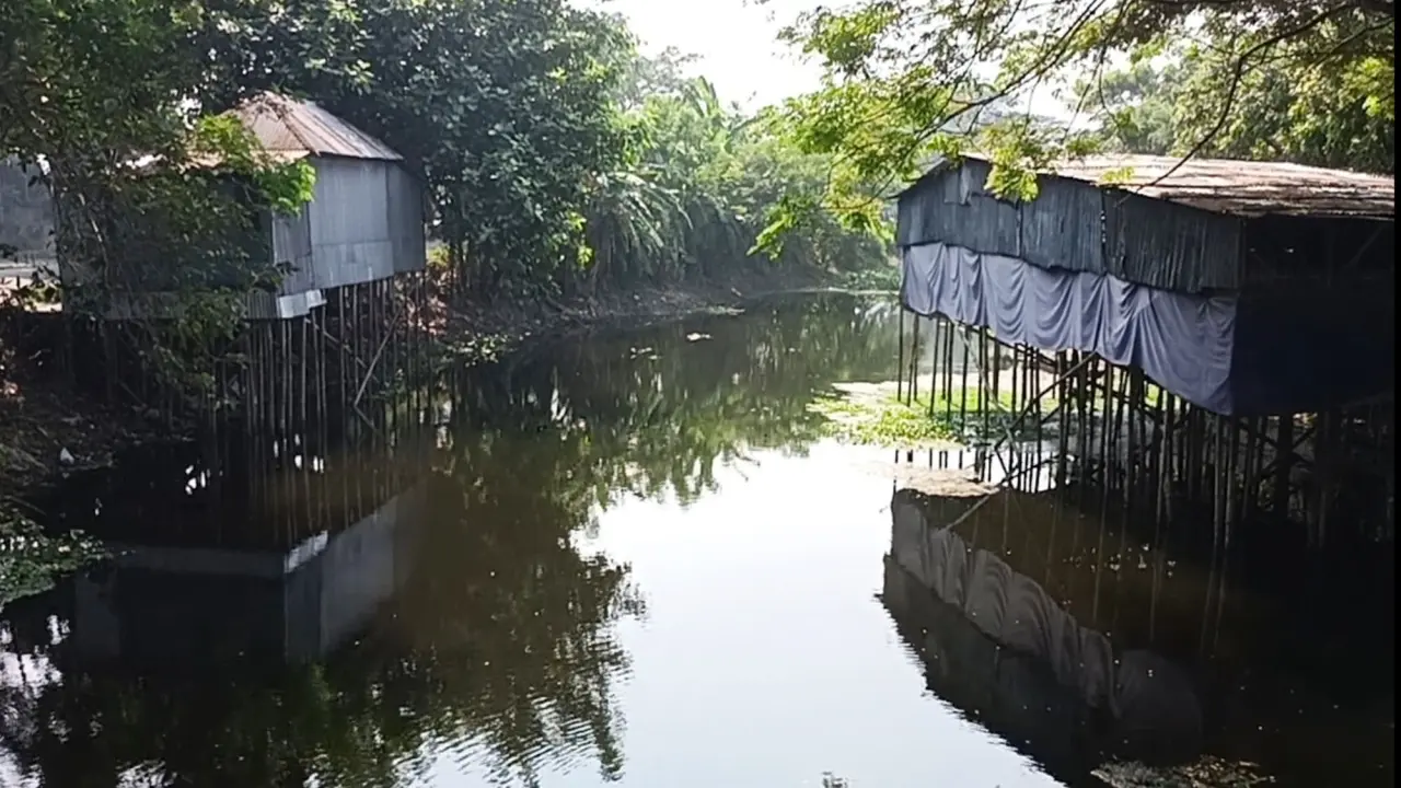 গোপালগঞ্জ সরকারি খাল দখল করে প্রভাবশালীর পোল্ট্রি ফার্ম, ভোগান্তিতে তিন গ্রামের অন্তত ২৫ হাজার লোক।