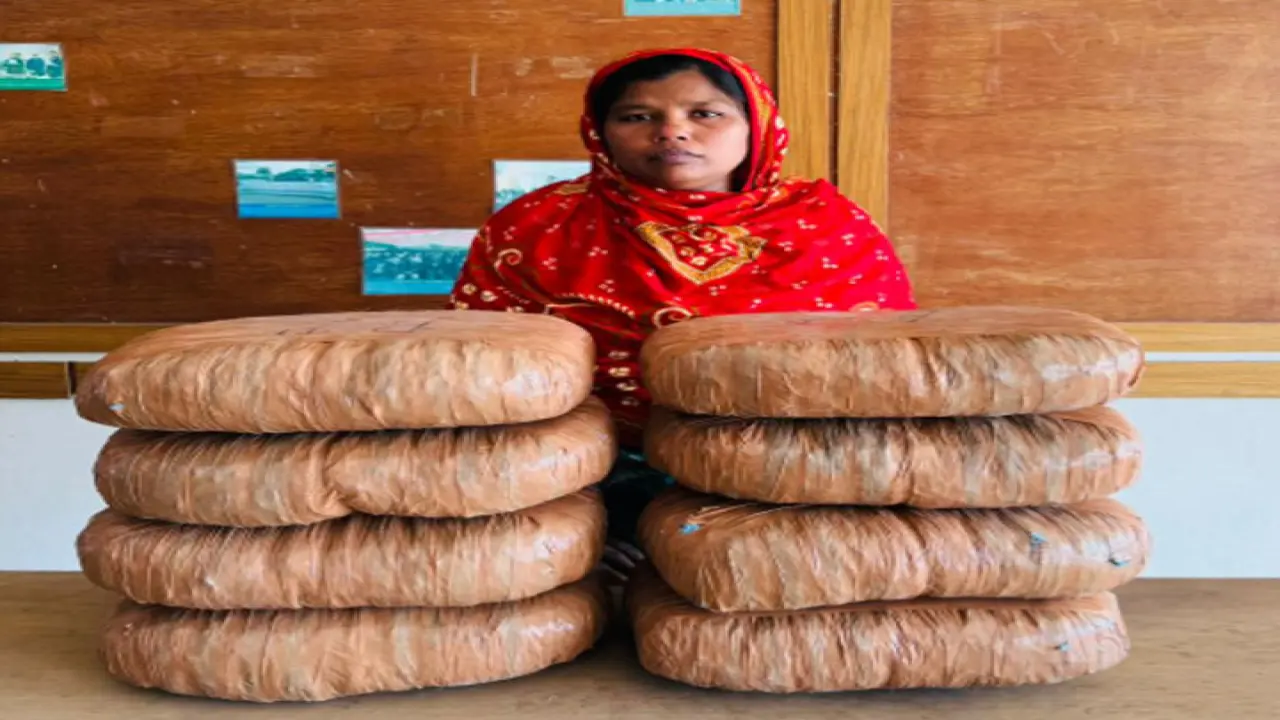 গোপালগঞ্জে ১৬ কেজি গাঁজাসহ স্বামী-স্ত্রী গ্রেফতার