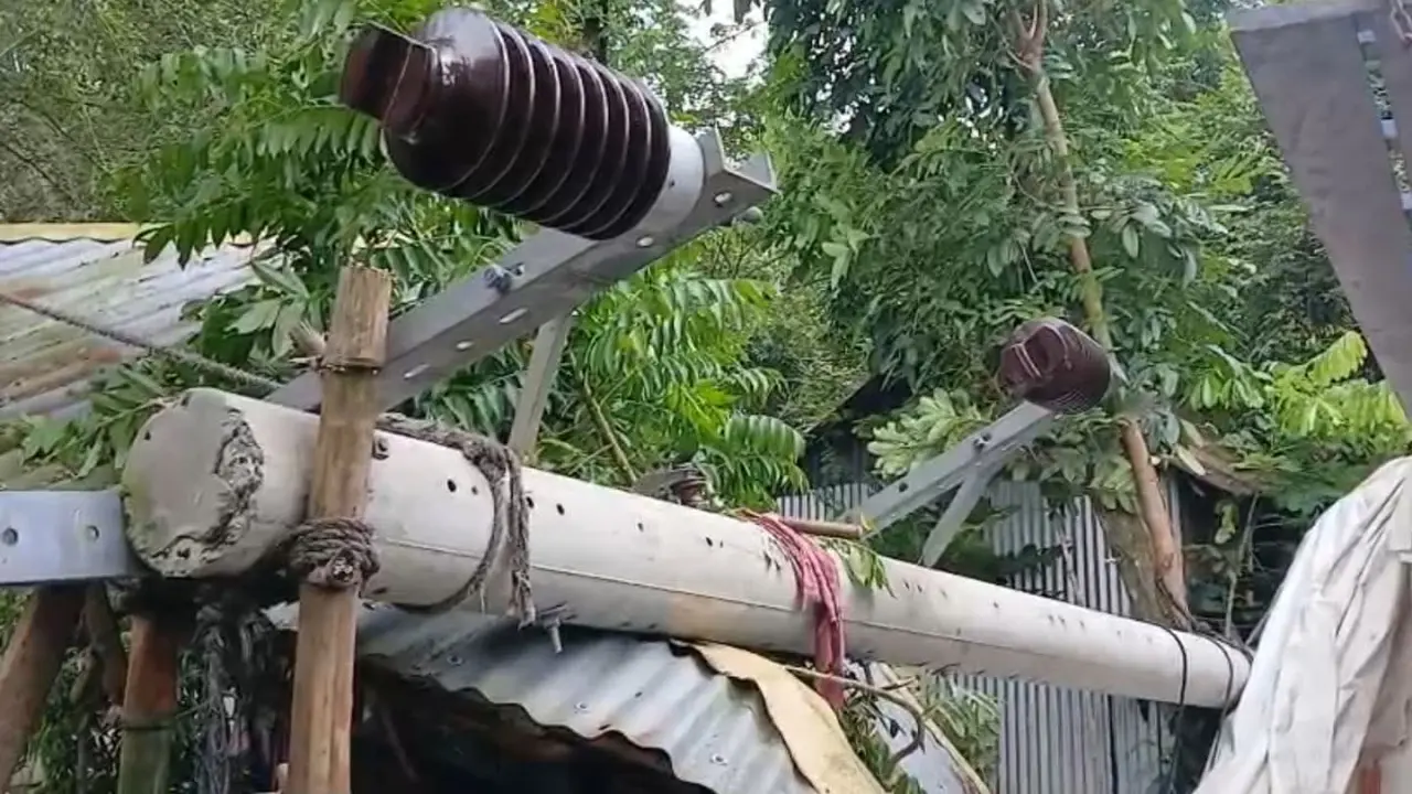 গোপালগঞ্জে আটাবোঝাই ট্রাক বসতঘরে, গর্ভবতী নারী নিহত