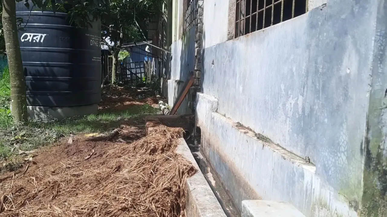 গরুর ফার্মের বর্জ্যে নদী দূষণ, অভিযোগ আ.লীগ নেতার বিরুদ্ধে