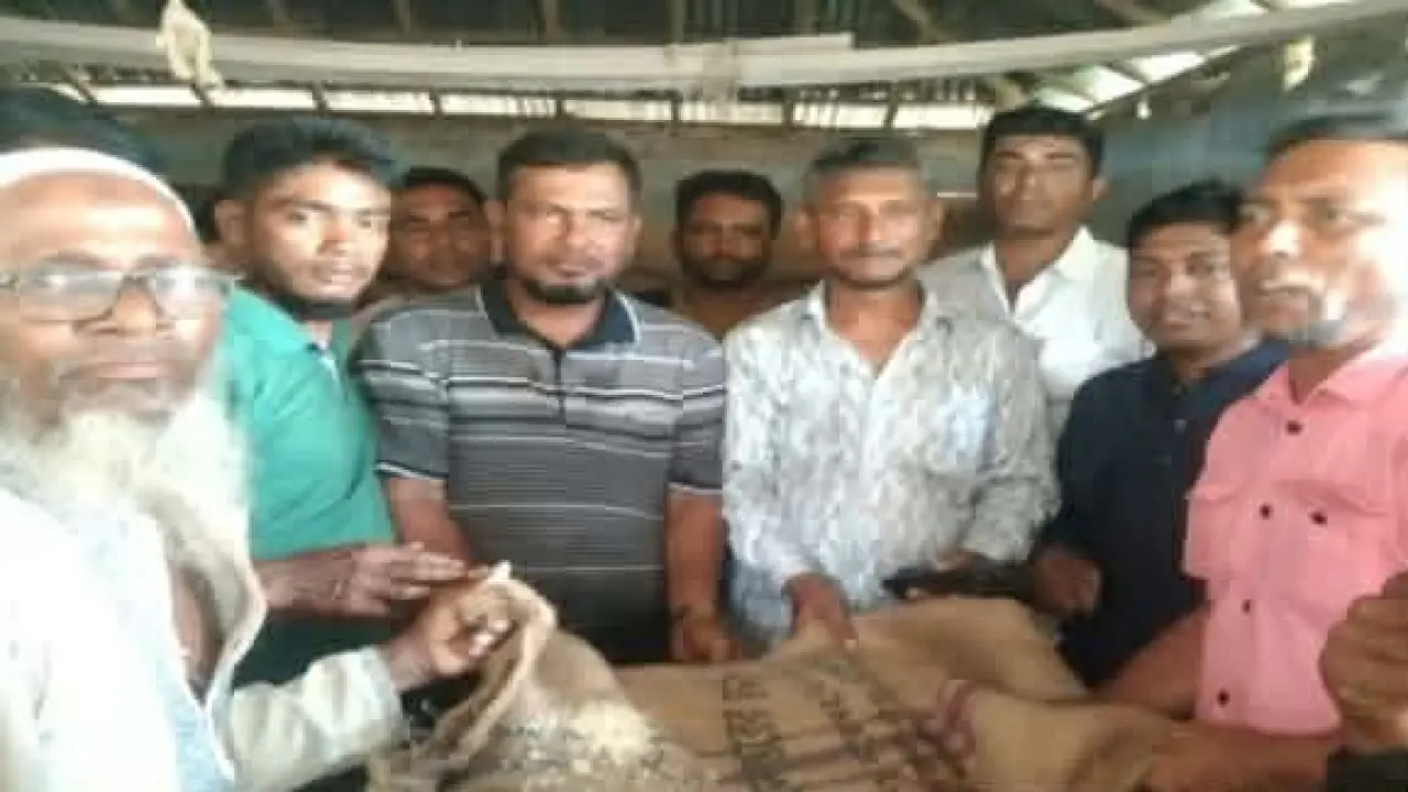 ইলিশ রক্ষায় জেলেদের পাশে মানবিক সহায়তা—গলাচিপায় ৩৮৬ জেলের মাঝে চাল বিতরণ
