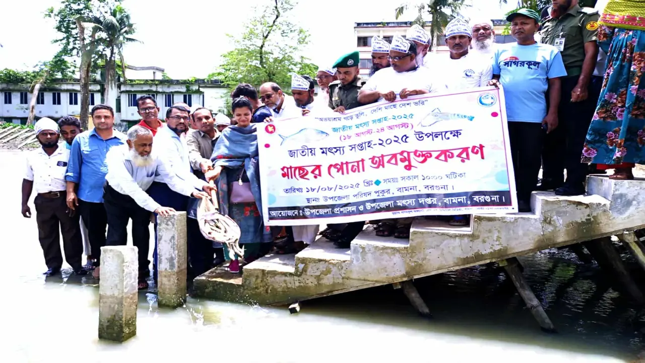 জাতীয় মৎস্য সপ্তাহ উপলক্ষে বর্ণাঢ্য র‍্যালি, পোনা মাছ অবমুক্তকরণ ও আলোচনা সভা অনুষ্ঠিত