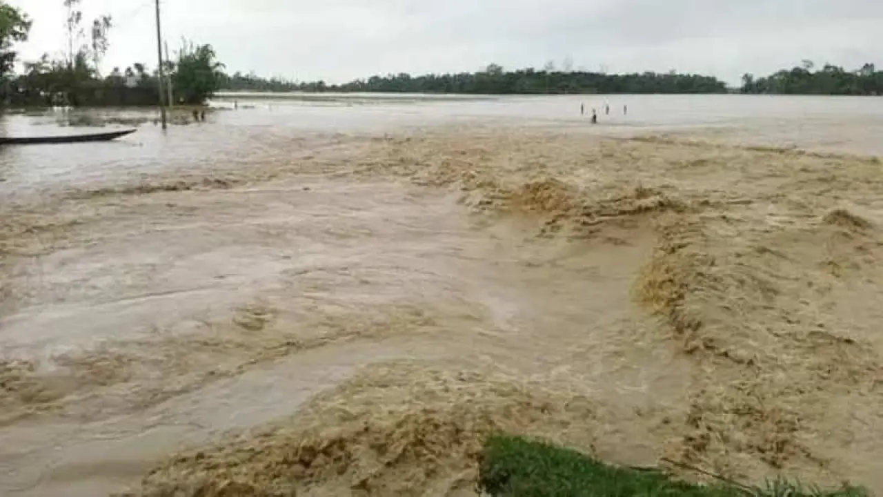 জাতীয় সংকটে ঐক্যই হতে পারে সবচেয়ে বড় সমাধান