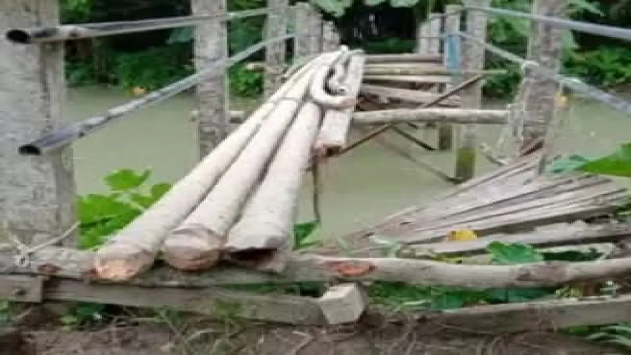 ঝুঁকিপূর্ণ পুলে পারাপার, দুর্ভোগে শিক্ষার্থী ও এলাকাবাসী