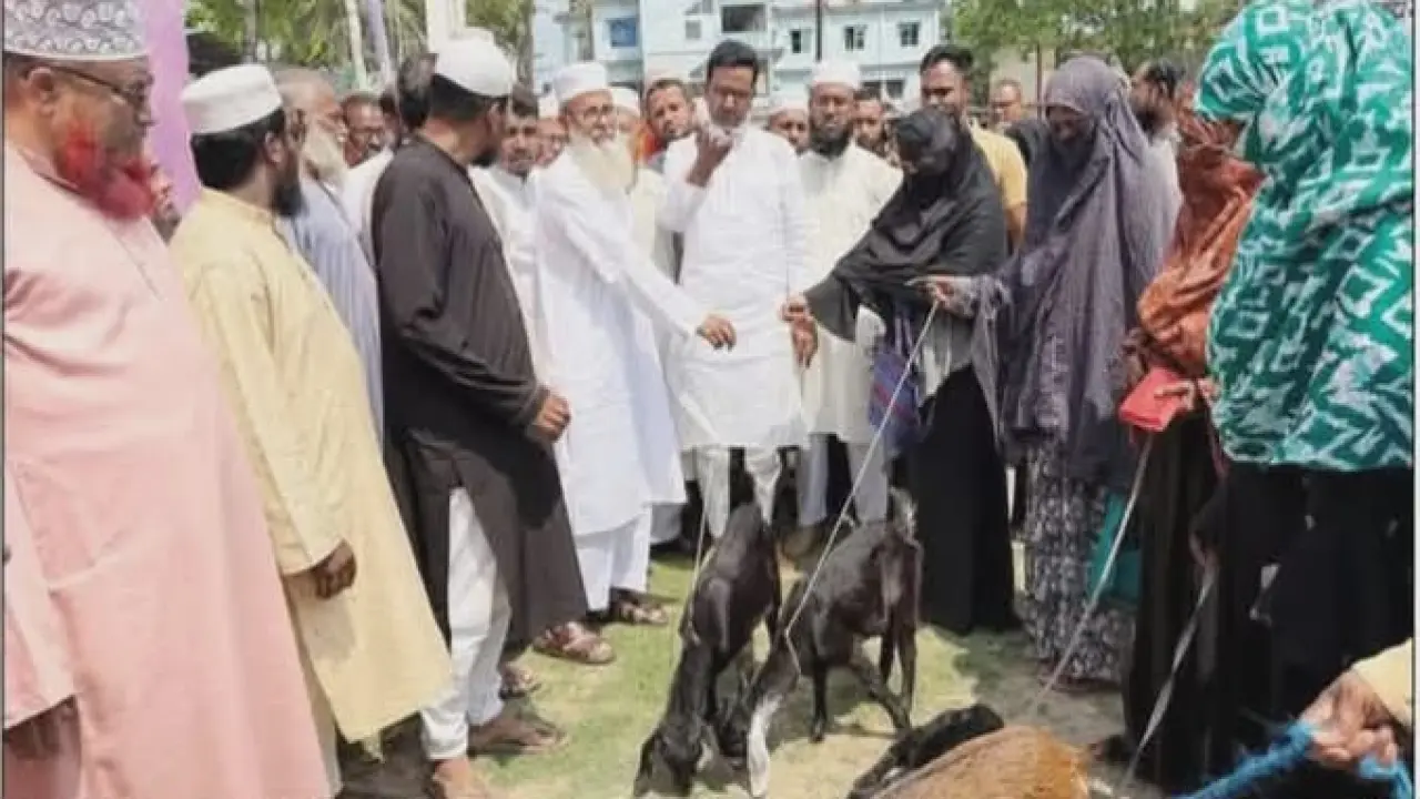 কেশবপুরে বিনামূল্য দুস্থ  নারীদের মাঝে ৫০ ছাগল বিতরণ।