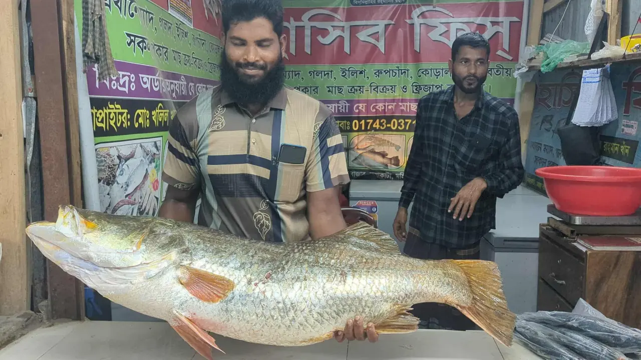 কুয়াকাটায় এক কোরাল বিক্রি ৩৩ হাজার,৭'শ।