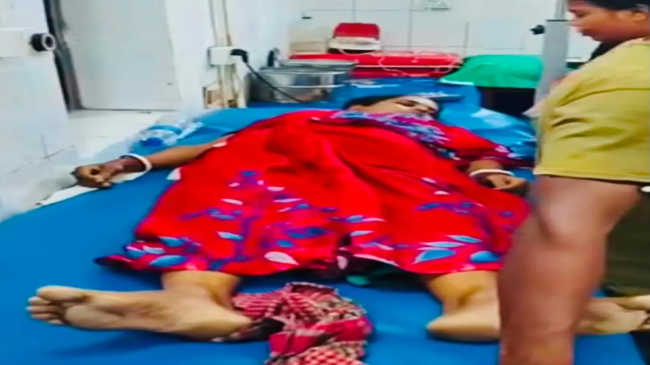 মেহেন্দিগঞ্জ বিষধর সাপের কামড়ে গৃহবধূর মর্মান্তিক মৃত্যু।