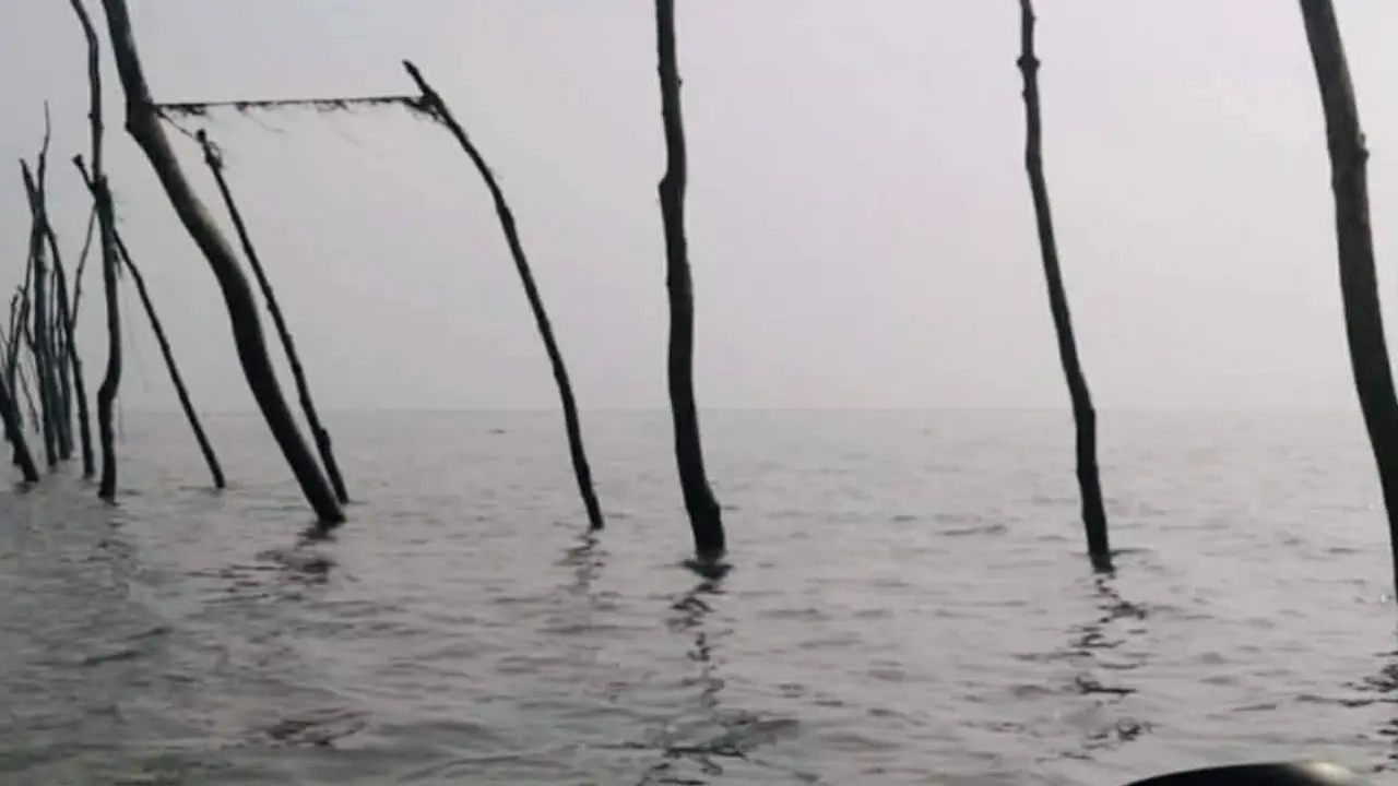 মেহেন্দিগঞ্জে চরঘেরা জাল দিয়ে চলছে মাছ  শিকার, হুমকির মুখে মৎস্য সম্পদ।