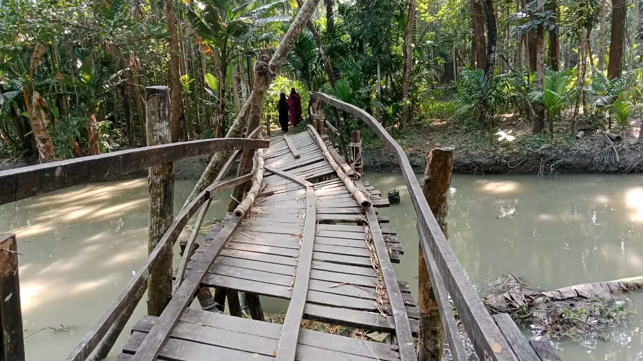 নড়বড়ে ব্রিজে শিক্ষার্থীদের প্রাণের ঝুঁকি, প্রশাসনের আশ্বাস দ্রুত ব্যবস্থা