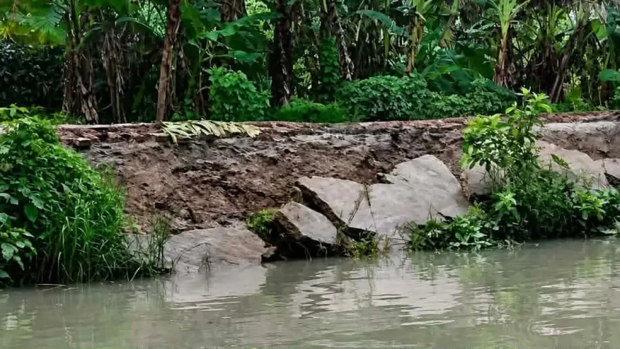 নেছারাবাদে ভাঙনে বিলীন রাজাবাড়ি-জিলবাড়ি সড়ক, দুর্ভোগে পাঁচ গ্রামের হাজারো মানুষ