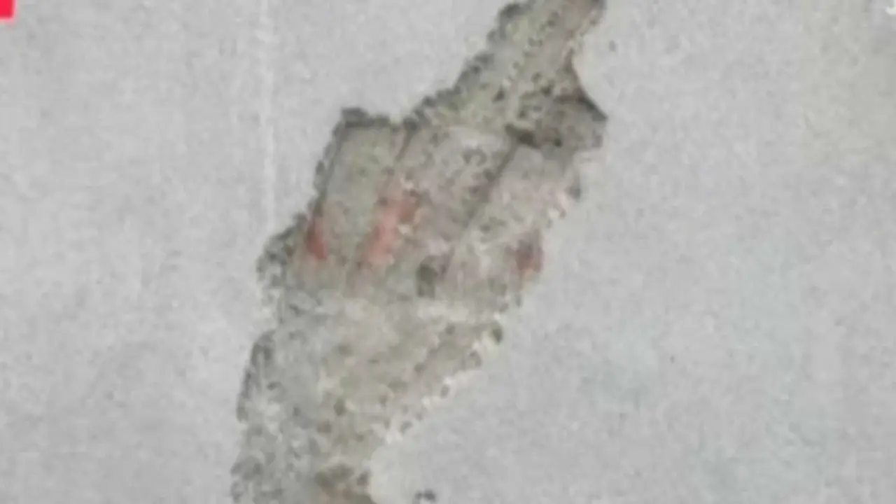 নির্মানাধীন স্কুলের  দেয়াল ভাঙ্গার  অভিযোগ