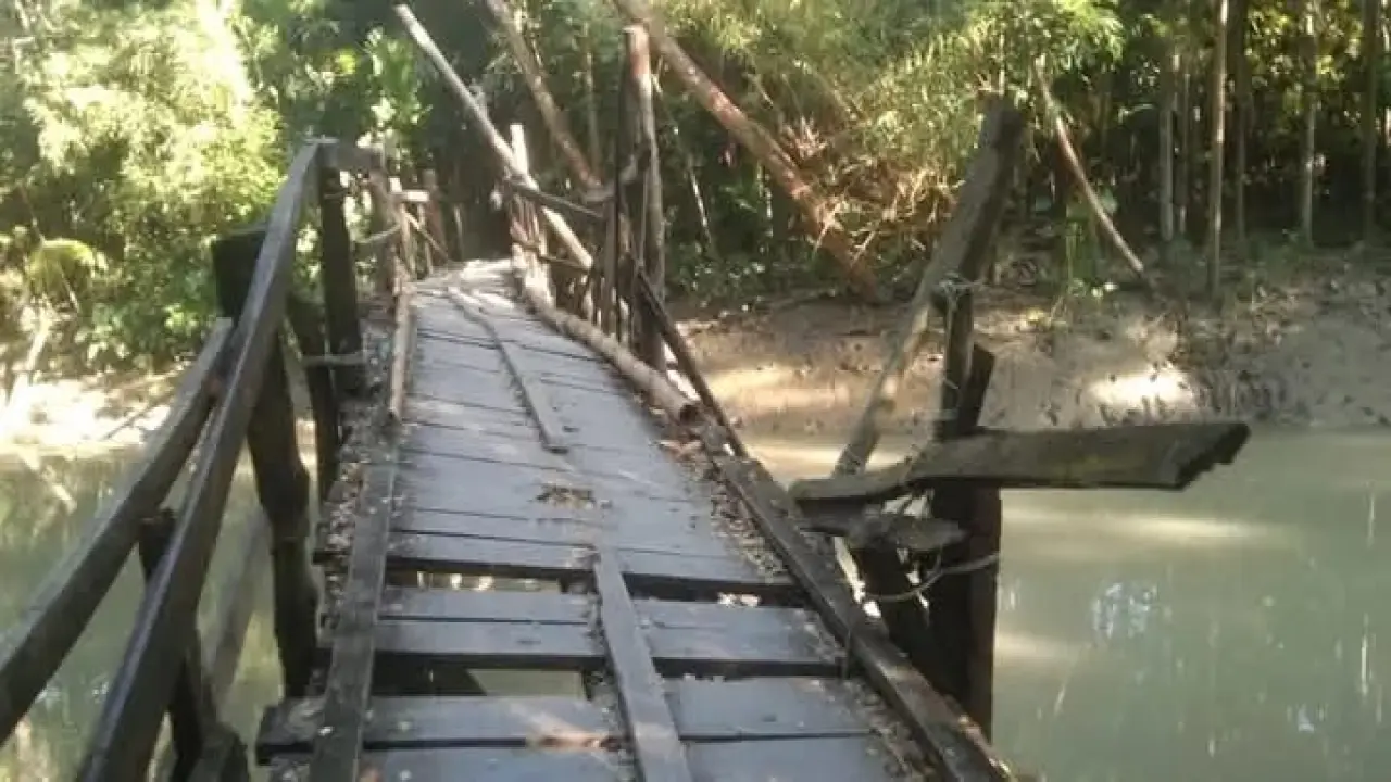 নড়বড়ে কাঠের সেতু;  ঝূঁকি নিয়ে চলছে শিক্ষার্থীরা ও এলাকাবাসী
