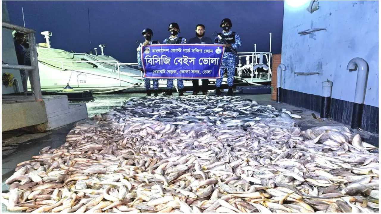 অভয়াশ্রম অভিযান : বিপুল পরিমাণ জাটকা জব্দ করেছে কোস্টগার্ড