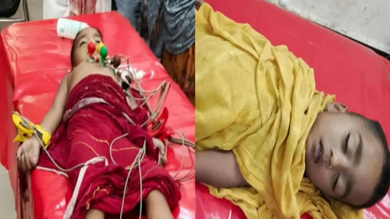 পানিতে ডুবে দুই ভাইয়ের মৃত্যু