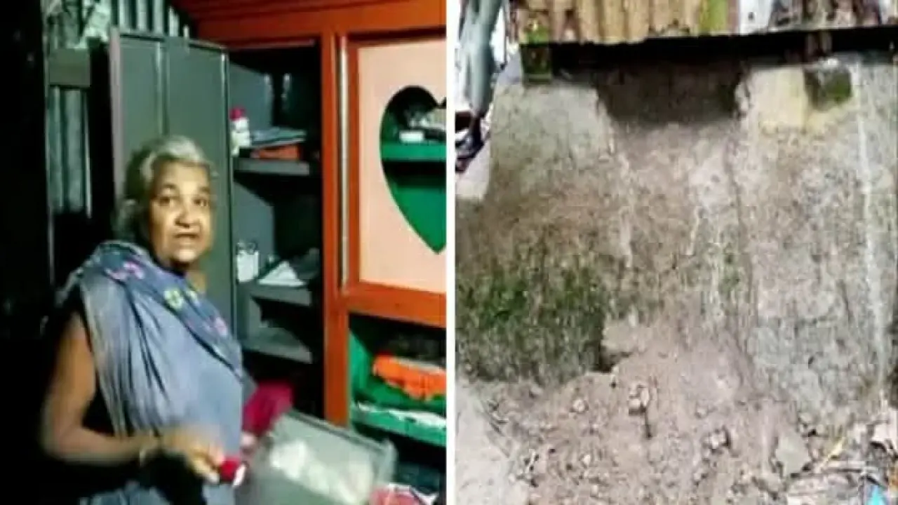 পানপট্টিতে একই রাতে দুই বাড়িতে চুরি, নগদ টাকা ও মালামাল লুট