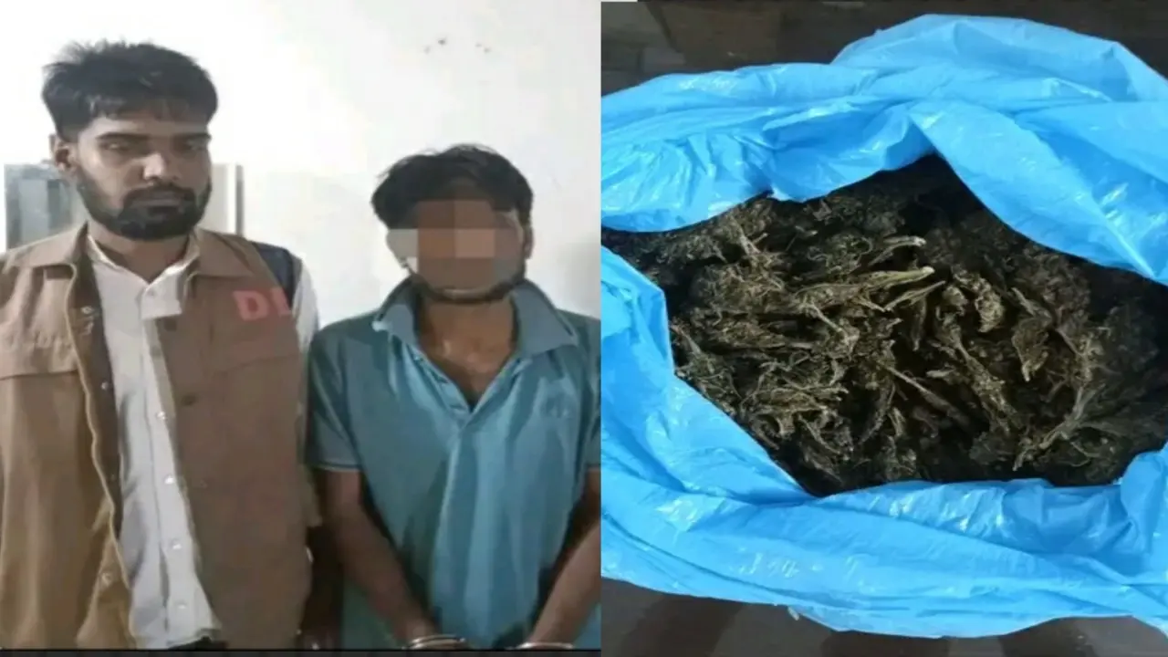 পিরোজপুরে বিশেষ অভিযানে ১কেজি গাঁজাসহ গ্রেফতার যুবক